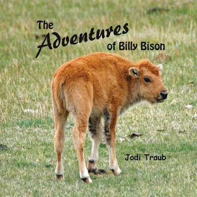 The Adventures of Billy Bison - by  Jodi Traub (Paperback)