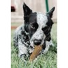 ETHICAL/SPOT Love The Earth Coffee Wood Dog Chew Toy -(Large) - 2 of 3