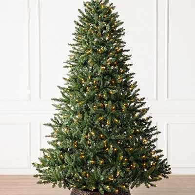 Classic Evergreen Spruce