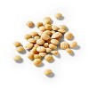 Dry Lentils - 1LB - Good & Gather™ - image 2 of 3
