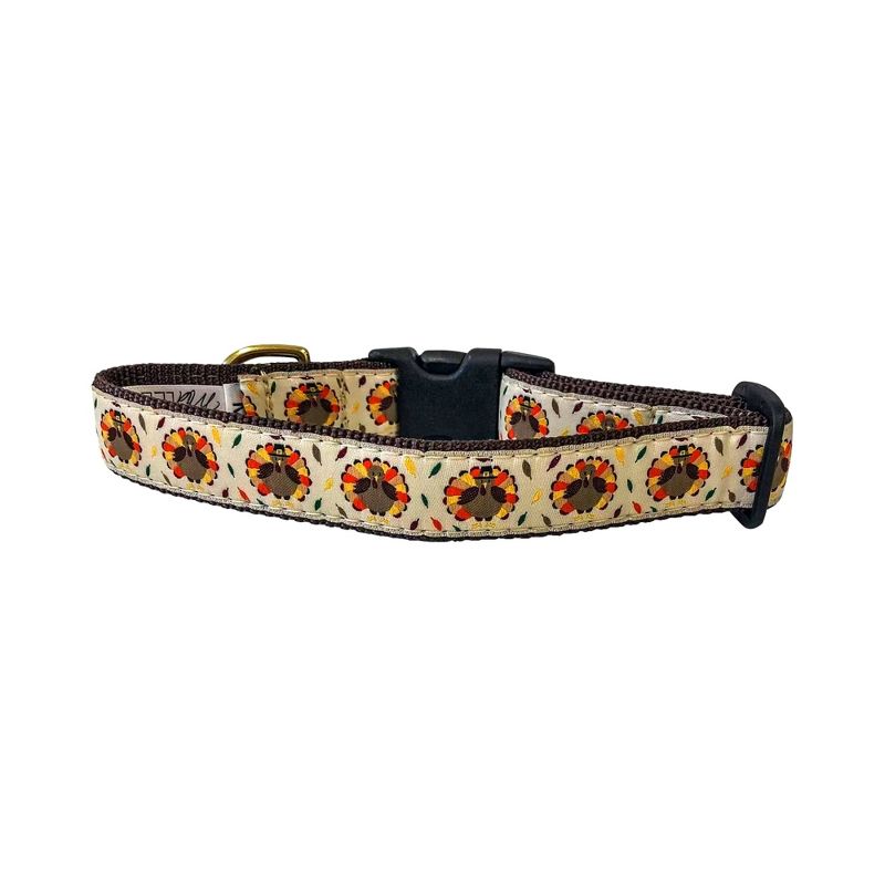 Midlee Thanksgiving Turkey Buckle Dog Collar- Made in The USA, 1 of 4