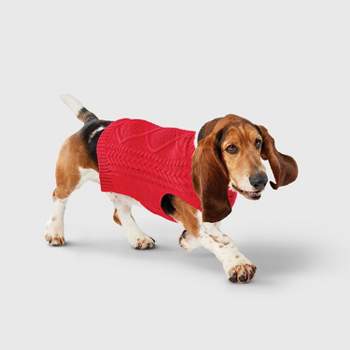 Halloween Candy Corn Boo Dog Sweater - L - Hyde & Eek! Boutique™ : Target
