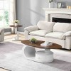 Nesting MDF Coffee Table Set of 2,Oval Coffee Table with Storage Drawer and Metal Frame,Modern Coffee Table Set for Living Room-Coolbibila - 2 of 4