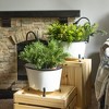 Set of 2 Black Rim White Enamel Bathtub Planters - Foreside Home & Garden - 4 of 4
