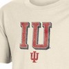 NCAA Indiana Hoosiers Boys' Sand T-Shirt - 3 of 3