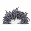 20 Inch Mini Berry Leaf Wreath – Faux Foam and Vine – Seasonal Christmas Decoration – By Melrose - 2 of 3