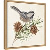 Amanti Art Bird on Pine Branch I by Annie Warren Canvas Wall Art Print Framed 16 x 16-in. - 3 of 4