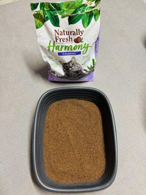 Guest review image 1 of 2, zoom in