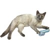 Imperial Cat Cat 'n Around Crinkle Tail Catnip Bird Toy - 2 of 2