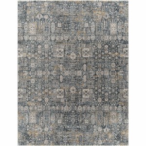 Hauteloom Stacyville Luxe Fringe Rug - 1 of 4