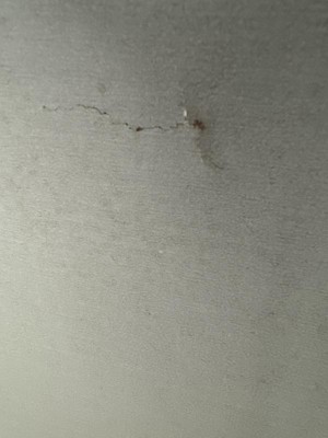 Guest review image 1 of 5, zoom in