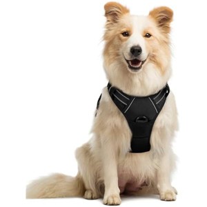 rabbitgoo- Dog Harness No Pull with 2 Leash Clips, Choke Pet Vest with Easy Control Handle for Medium Sized Dogs, Black, M - 1 of 1