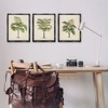 Stupell Industries Les Palmiers Botanical Trio, 17" x 21" - 2 of 4