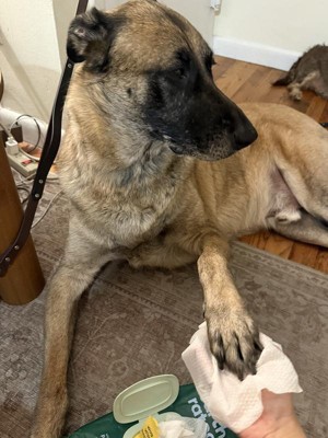 Guest review image 3 of 5, zoom in