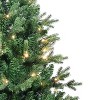 Kurt S. Adler 4.5' Pre-Lit Warm White LED Jackson Pine Tree - 2 of 3