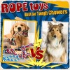 Itopfox Heavy Duty Dog Toy for Aggressive Chewers – Tough Chew Toys for Large Dogs, Ideal for Tug-of-War & Teeth Cleaning, with 3 Rope Toys - 3 of 4