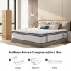 RISOKEYS King Size Mattress - 12 Inch Hybrid Mattress, Innerspring, Medium Firm, Pressure Relief & Motion Isolation, Mattress in a Box - 4 of 4