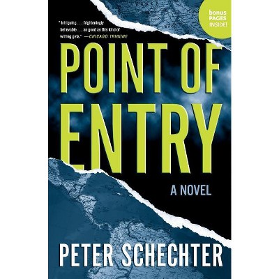 Point of Entry - by  Peter Schechter (Paperback)