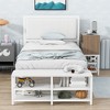 TIRAMISUBEST Twin/Full Size Metal Platform Bed with Two-Tier Storage Shelves and Wooden Storage Cabinet, Modern Bed Frame with Headboard - 2 of 4