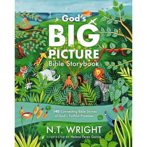 God's Big Picture Bible Storybook - (god's Big Picture Bible Stories ...