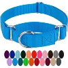 Country Brook Design Martingale Heavyduty Nylon Dog Collar - 4 of 4