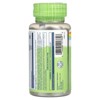 Solaray True Herbs, Gotu Kola, 450 mg, 100 VegCaps - 3 of 4