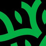 austin fc