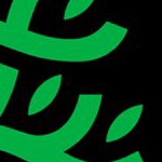 austin fc