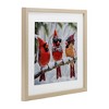 Stupell Industries Row of Cool Cardinals Framed Print Under Glass Art - 2 of 4