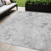 Gray Charcoal And Silver Floral Washable Indoor Outdoor Area Rug - 2 of 4