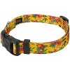 Country Brook Petz Deluxe Dog Collar - Summer Breeze Collection - Made in The U.S.A. - 2 of 4
