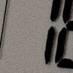 north carolina tar heels