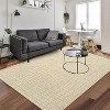 Coucheta Checkered Jute Rug, Super Soft Low-Pile Shaggy Plush, Non-Slip Stain Resistant, Multi-Color & Size - 3 of 4