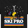 Boys' - Peanuts - Woodstock Ski Pro Short Sleeve Graphic T-Shirt - 2 of 4