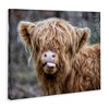 Stupell Industries Baby Cattle Licking Lips, 40" x 30" - 3 of 4