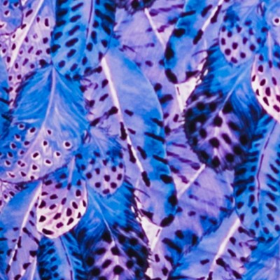 purple feathers