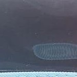 transparent turquoise rhino