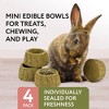 Evergreen Pet Supplies 4 Pack Furry Friends Timothy Hay Chewing Bowl for Small Pets & Bunnies - Edible Bowls for Guinea Pig Treats - 2 of 4