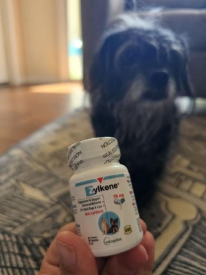 Vetoquinol - Zylkene Capsules For Dogs And Cats : Target