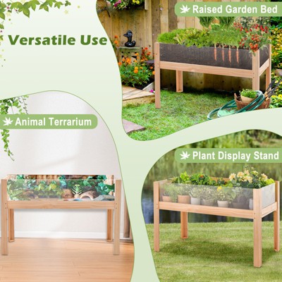 Natural Fir Wood 31" Raised Garden Bed with Acrylic Panels