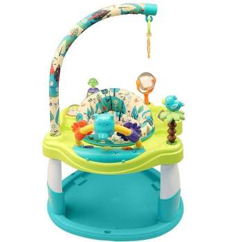 Fisher-Price Baby Bouncer Fitness Fun Folding Jumperoo Activity Center with  Lights Music and Gym Themed Toys, Folds for Storage