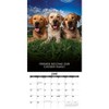 Willow Creek Press Dog's Life 2025 Wall Calendar: Monthly 12x12 Inch Paper, Sewn Binding, All Ages, Blue - 3 of 4