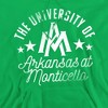University of Arkansas at Monticello Official Boll Weevils Adult Pull-Over Hoodie - 2 of 4
