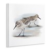 Stupell Industries Sandpiper Pair on Sandy Beach, 12" x 12" - 3 of 4