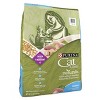 Purina Cat Chow Naturals Indoor Chicken Flavor Dry Cat Food - 4 of 4