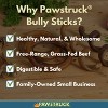Pawstruck Natural Bully Stick Springs for Dogs - Healthy Grain-Free Single Ingredient Dental Treats Chews Made in USA - 2 of 4