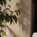 beige cushion/brown wicker