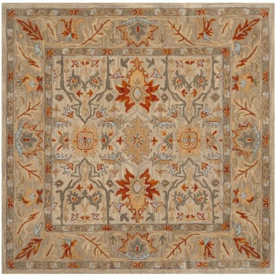 Antiquity AT63 Hand Tufted Area Rug - Safavieh