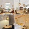 Mayeerty Plug in Pendant Light with LED Bulb Rattan Hanging Lamp with 16ft Dimmable Cord - 2 of 4