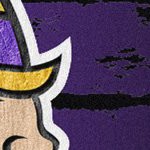 minnesota vikings